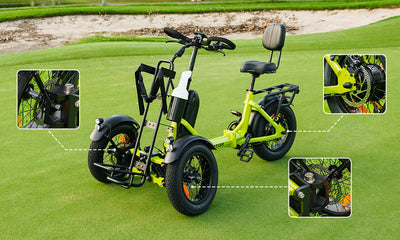 SpytanX Reverse Addmotor Golf Cargo Electric Trike 6 Months Free Service