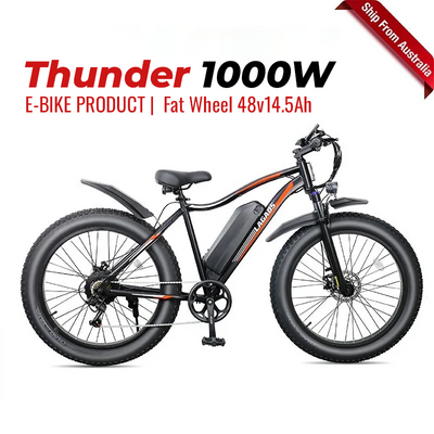 Thunder eBike 1000W Fat Wheel 48v14.5Ah 6 Months Free Service
