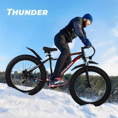 Thunder eBike 1000W Fat Wheel 48v14.5Ah 6 Months Free Service