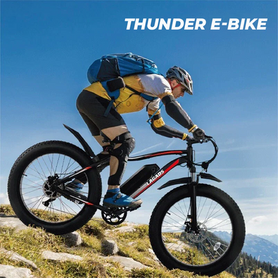 Thunder eBike 1000W Fat Wheel 48v14.5Ah 6 Months Free Service