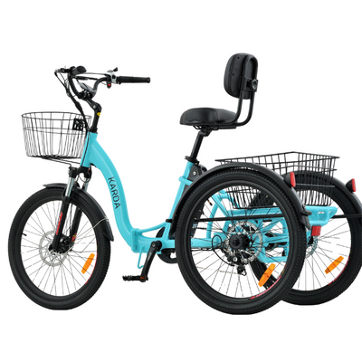 Karda Gekko eTrike with Reverse 250W Motor 6 Months Free Service