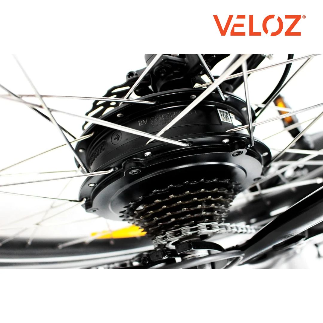 Veloz Electric Cargo Trike 500W Motor 200 Kilos weight load 6 Months Free Service